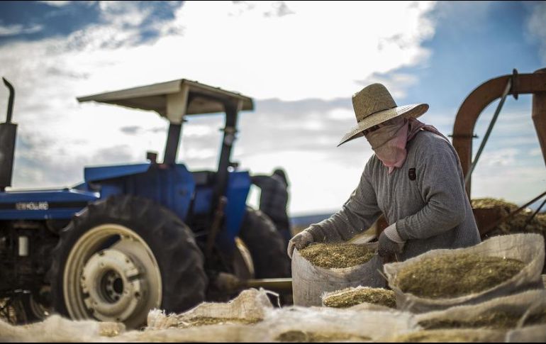Economía mexicana creció 2.3 por ciento en 2017: Inegi Economía mexicana creció 2.3 por ciento en 2017: Inegi